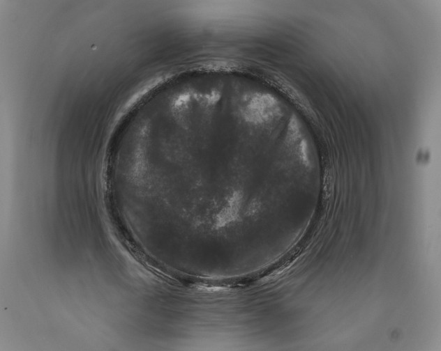 X0000091950722200709271325