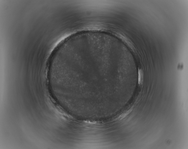 X0000091950723200709271325