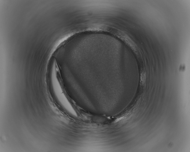 X0000091950724200709271325