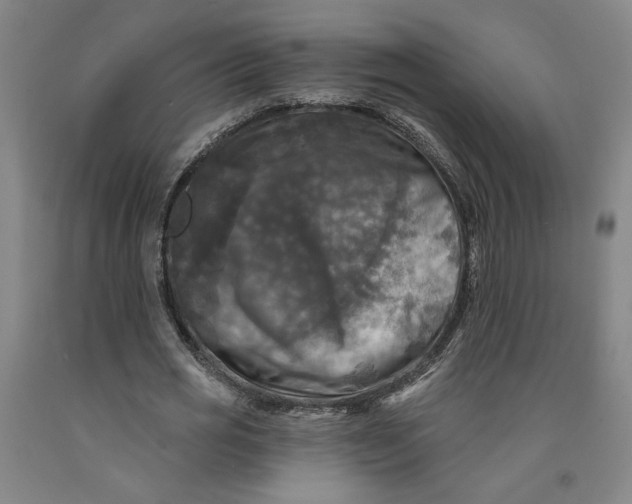 X0000091950725200709271325