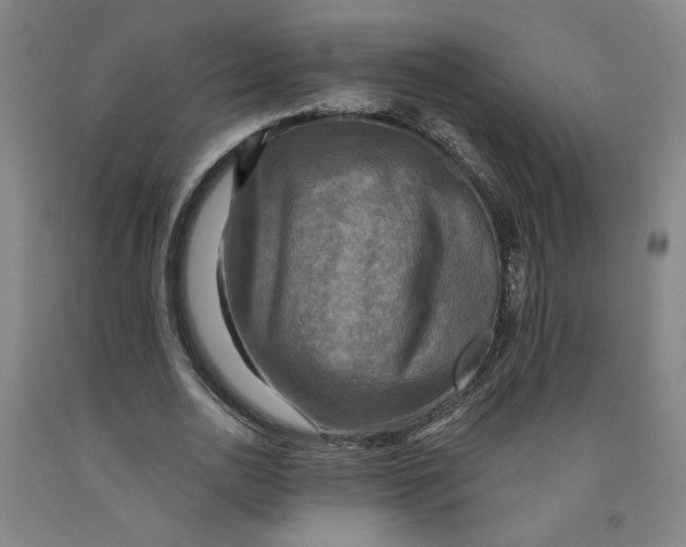 X0000091950726200709271325