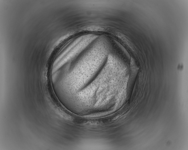 X0000091950727200709271325