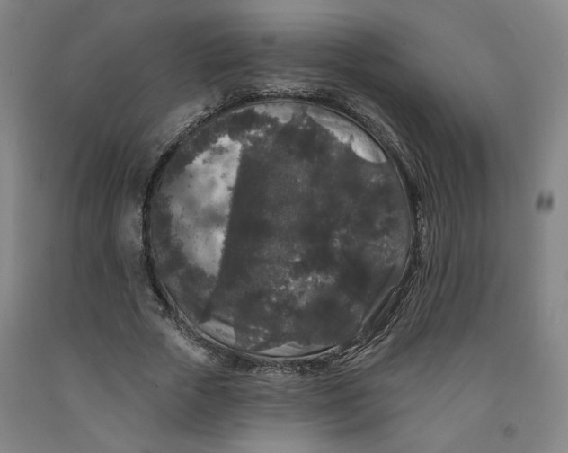 X0000091950729200709271325