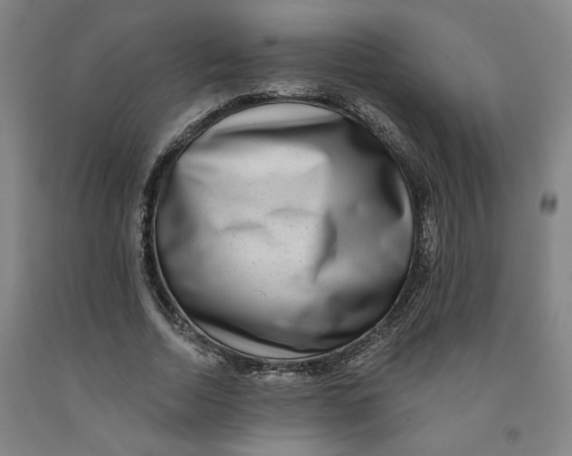 X0000091950730200709271325