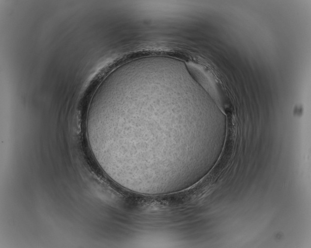 X0000091950731200709271325