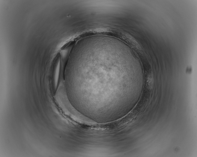 X0000091950732200709271325