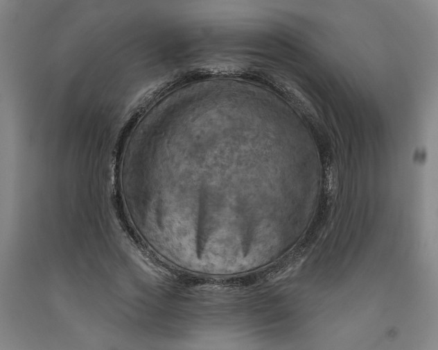 X0000091950733200709271325