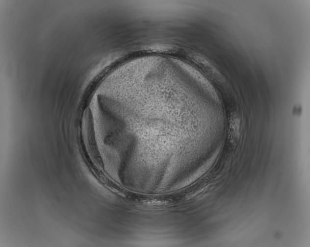 X0000091950734200709271325