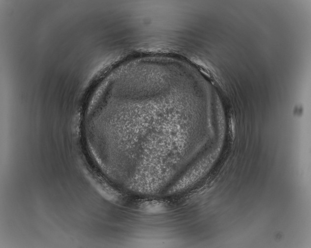 X0000091950735200709271325