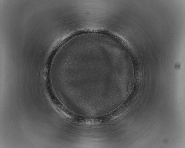 X0000091950736200709271325