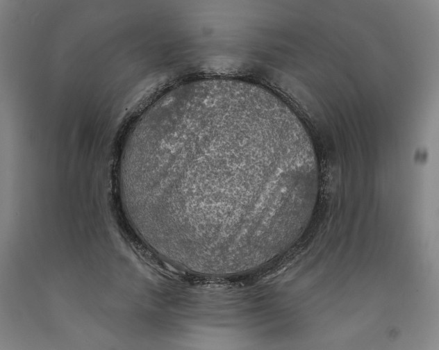 X0000091950738200709271325