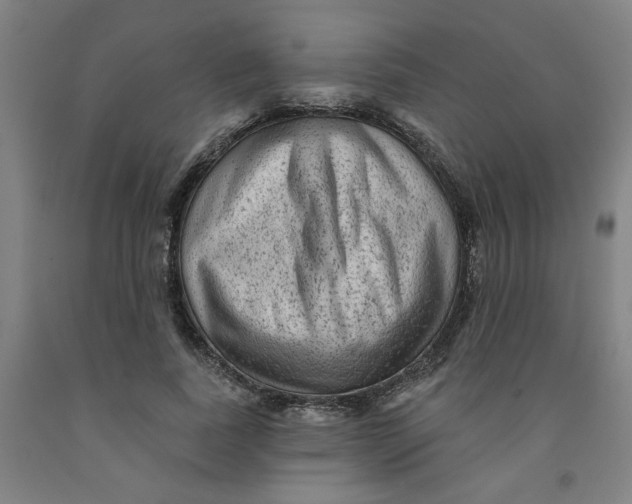 X0000091950739200709271325