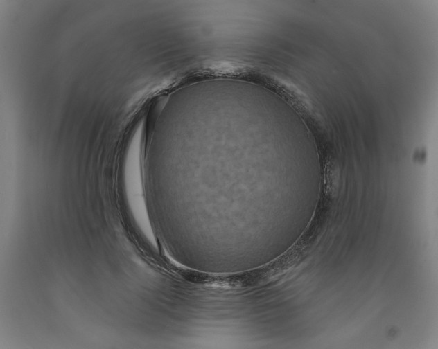 X0000091950740200709271325