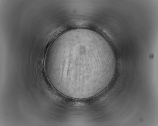 X0000091950741200709271325