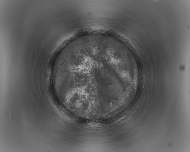 X0000091950742200709271325