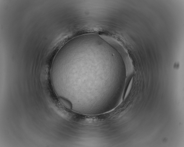 X0000091950744200709271325