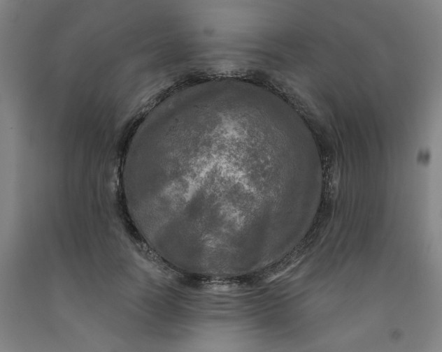 X0000091950746200709271325