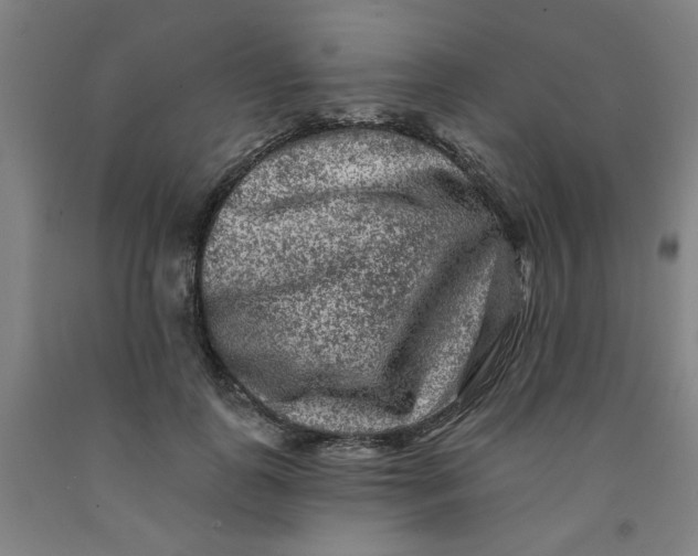 X0000091950747200709271325