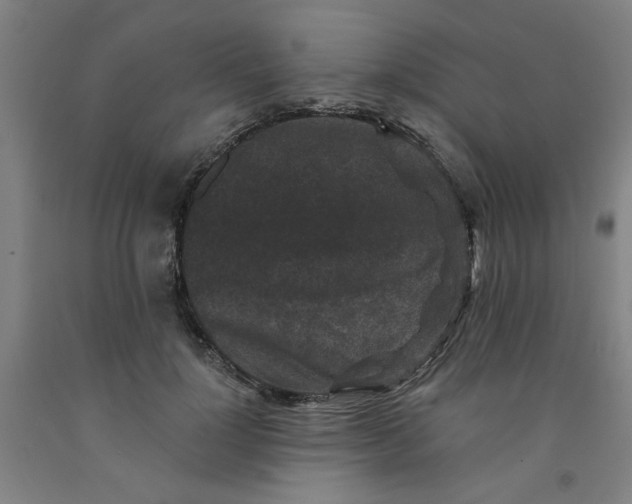 X0000091950748200709271325