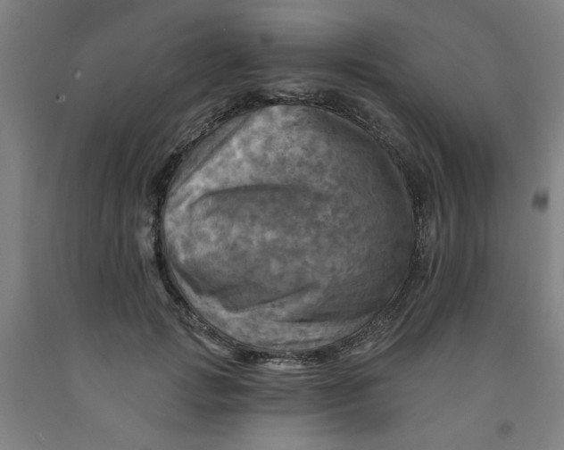 X0000091950749200709271325