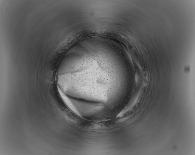 X0000091950750200709271325