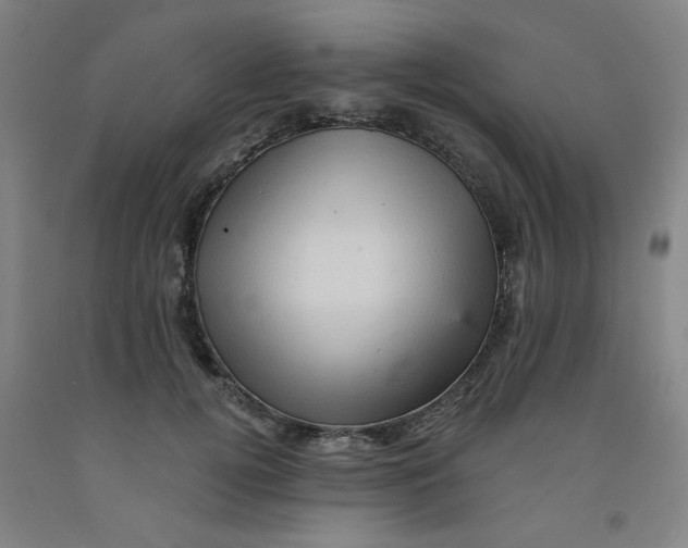 X0000091950752200709271326