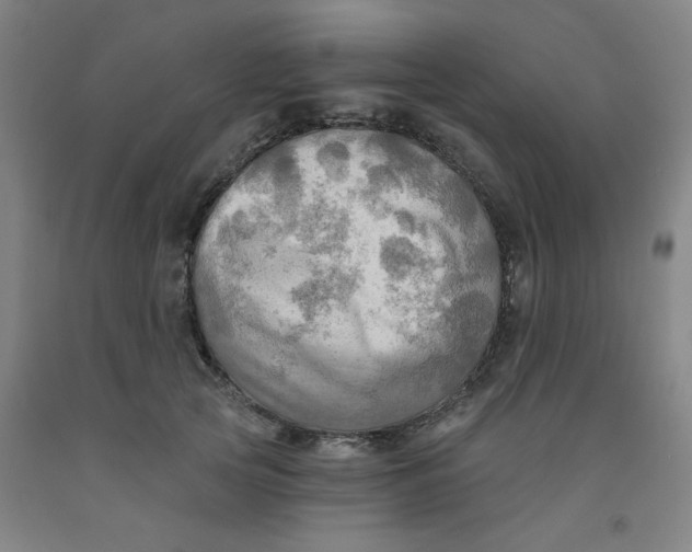 X0000091950753200709271326