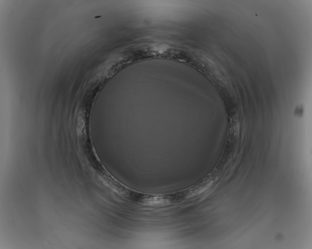 X0000091950754200709271326