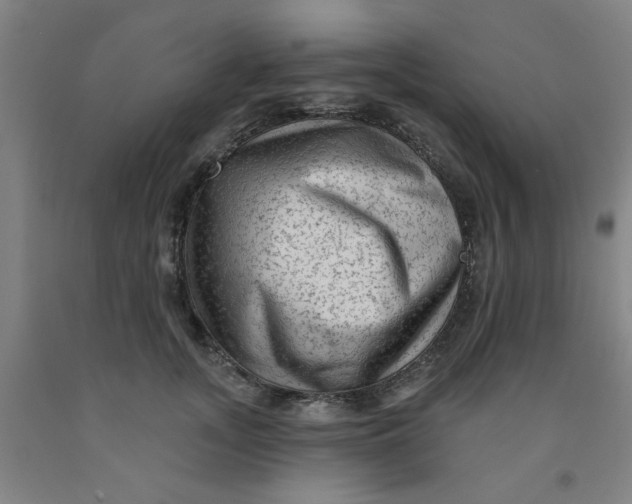 X0000091950755200709271326