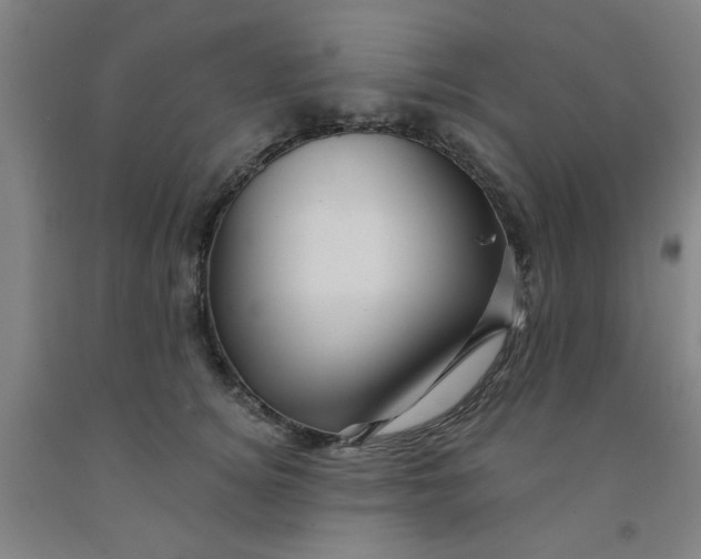 X0000091950756200709271326