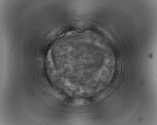 X0000091950757200709271326