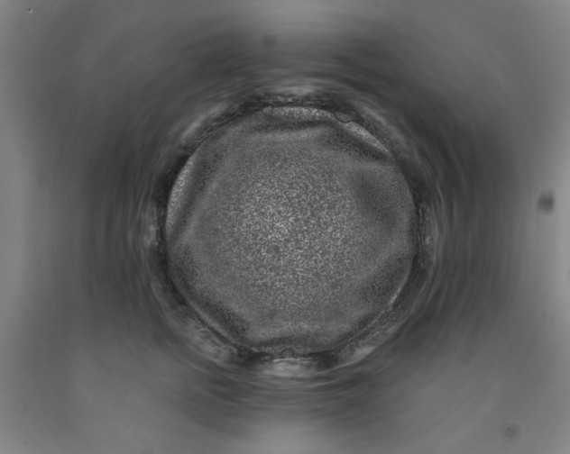 X0000091950758200709271326