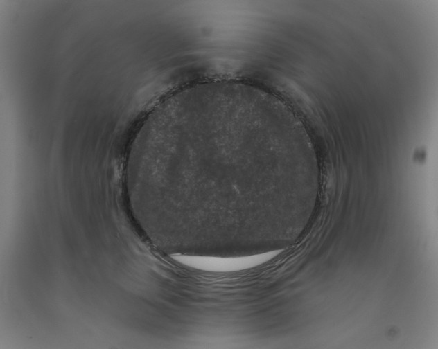 X0000091950759200709271326