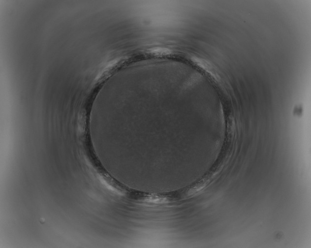 X0000091950760200709271326