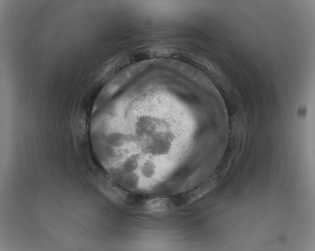 X0000091950761200709271326