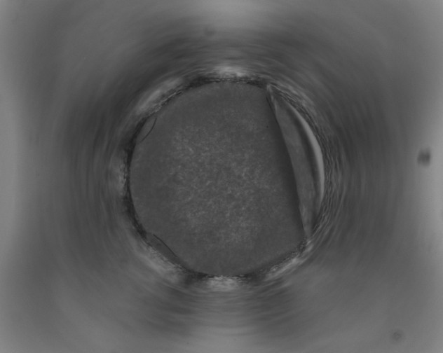 X0000091950762200709271326