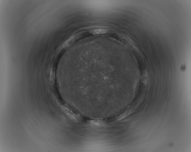 X0000091950763200709271326