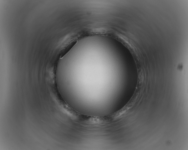 X0000091950764200709271326