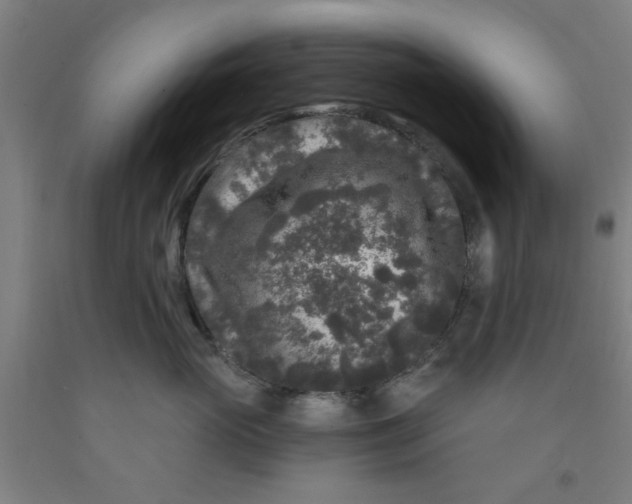 X0000091950765200709271326