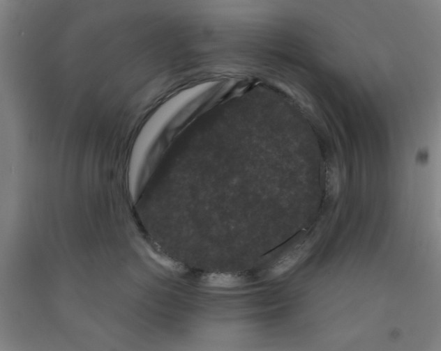 X0000091950766200709271326