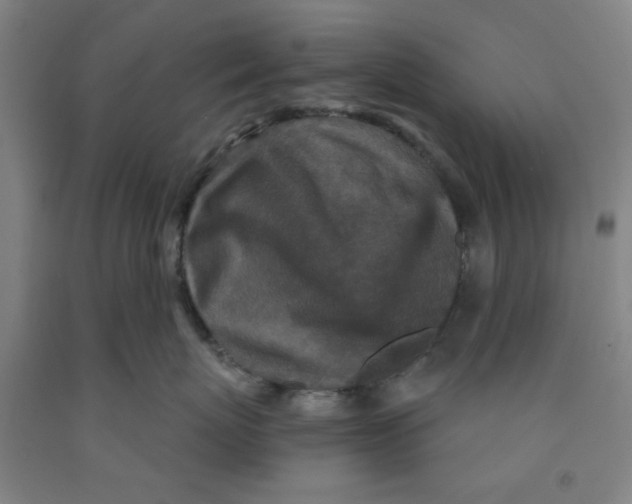 X0000091950767200709271326