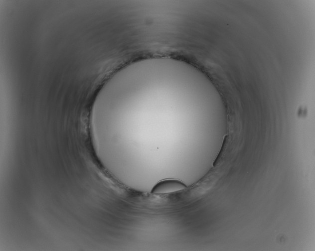 X0000091950768200709271326