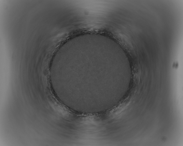 X0000091950769200709271325