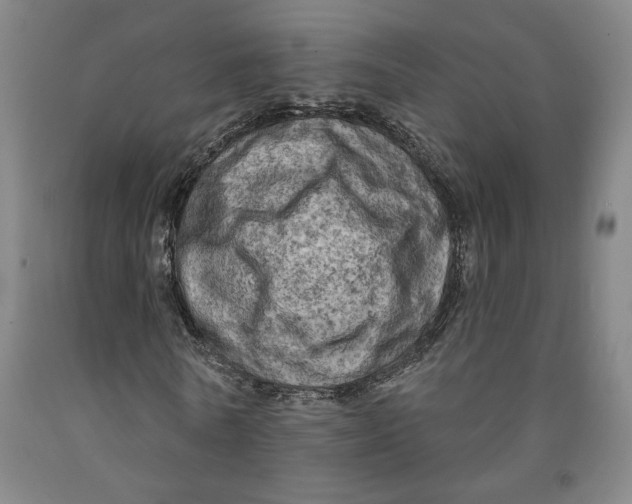 X0000091950770200709271325