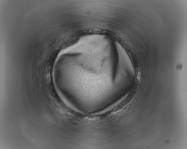 X0000091950771200709271325