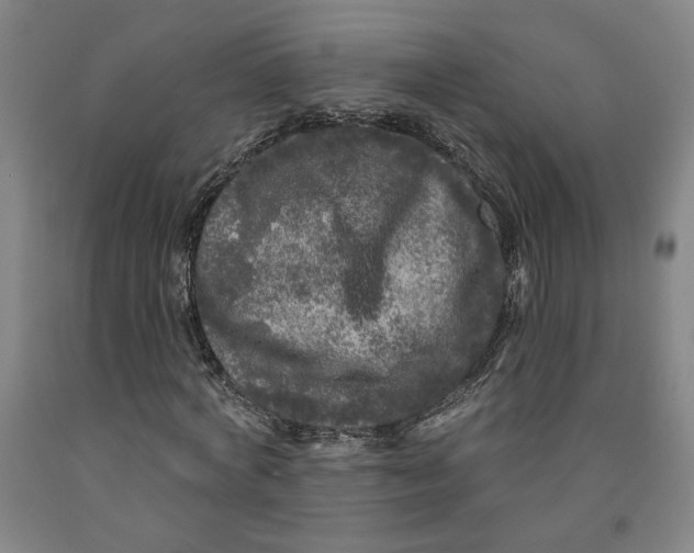 X0000091950772200709271325