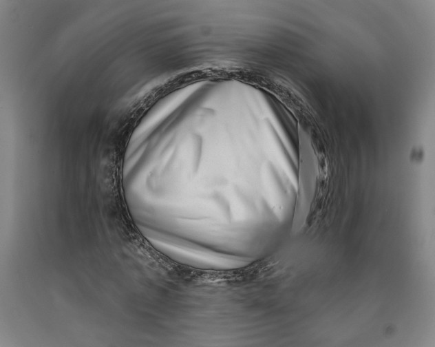 X0000091950773200709271325