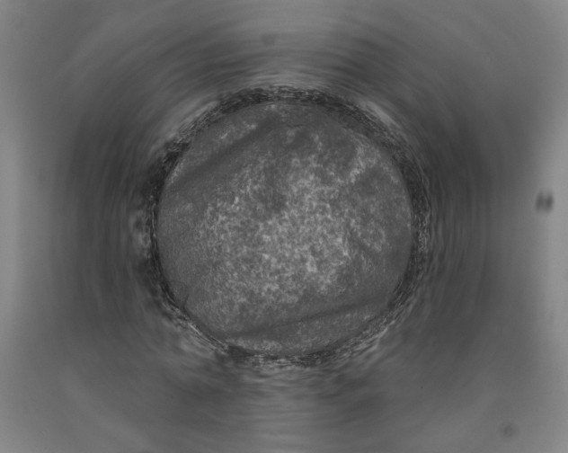 X0000091950774200709271325