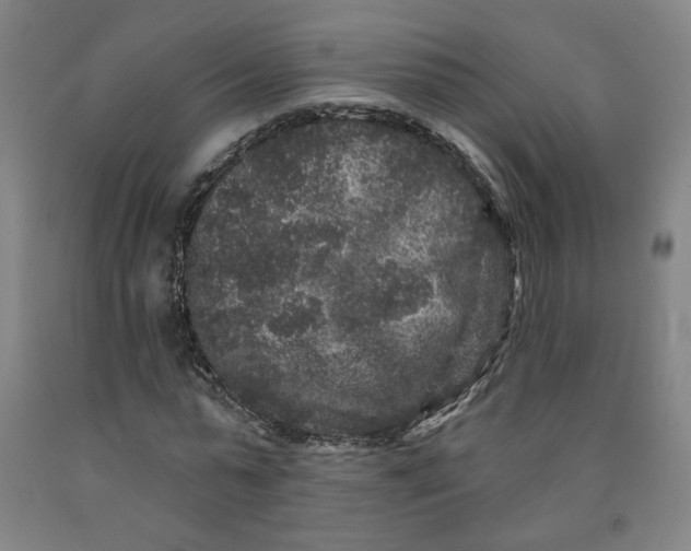 X0000091950775200709271325