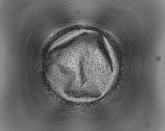 X0000091950776200709271325